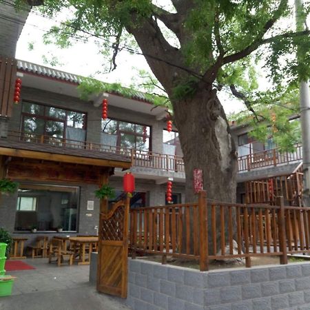 Beijing Great Wall XI Shui Yu Cun Li Bao Zhong Homestay Xinying Dış mekan fotoğraf